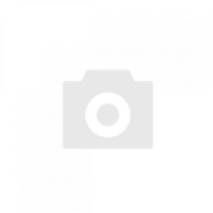 Разновидности орхидей с фото и названиями: Более 100 видов домашних и диких орхидей